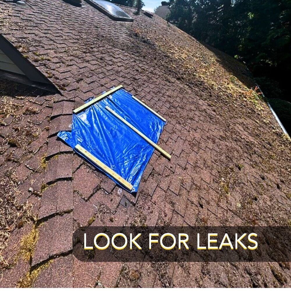 look for leaks on roof