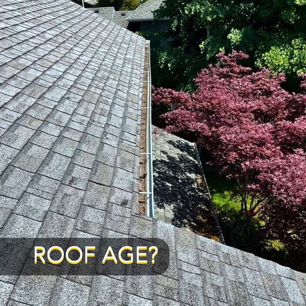 how old is the roof