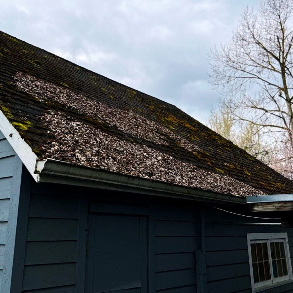 gutter cleaning service