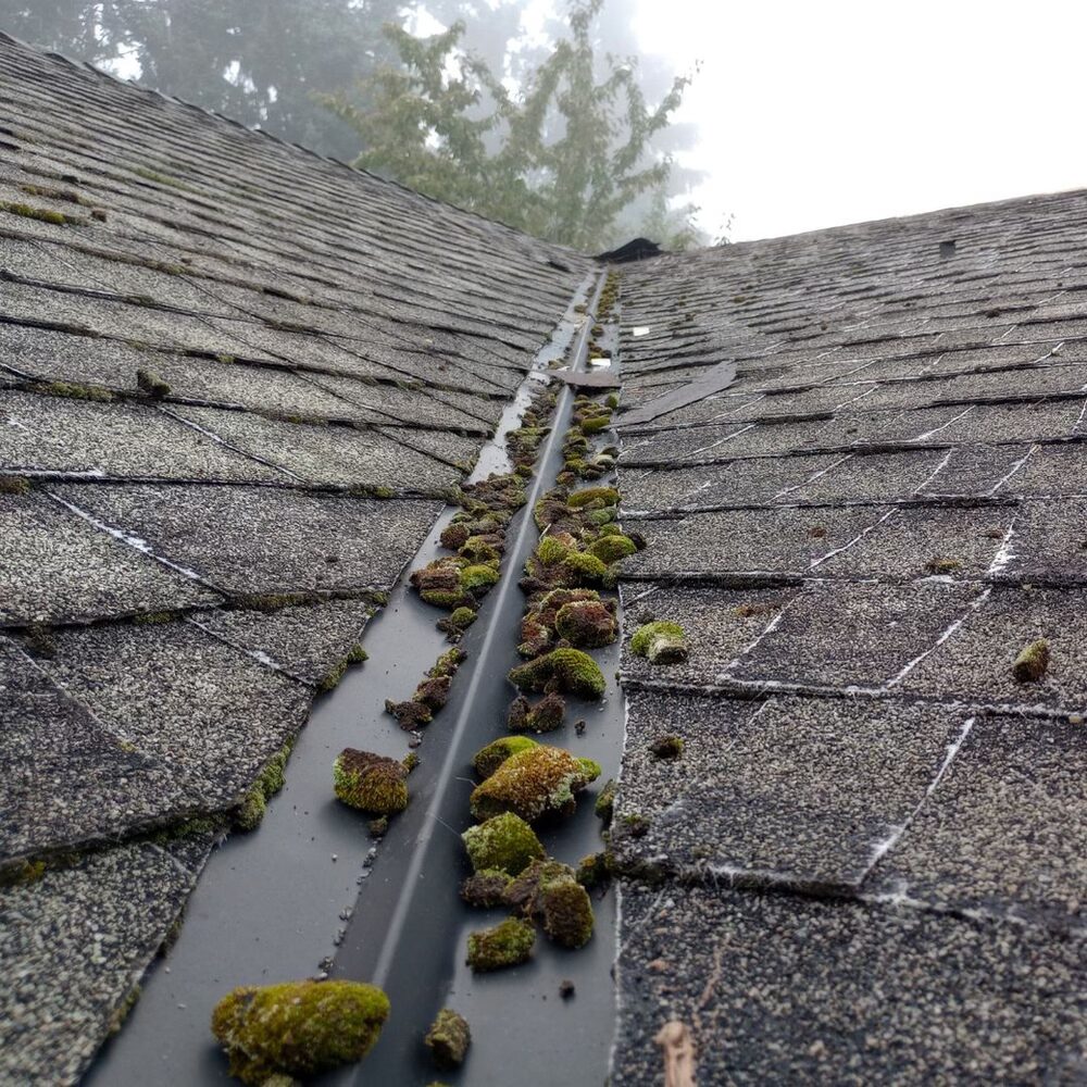 moss roof damage
