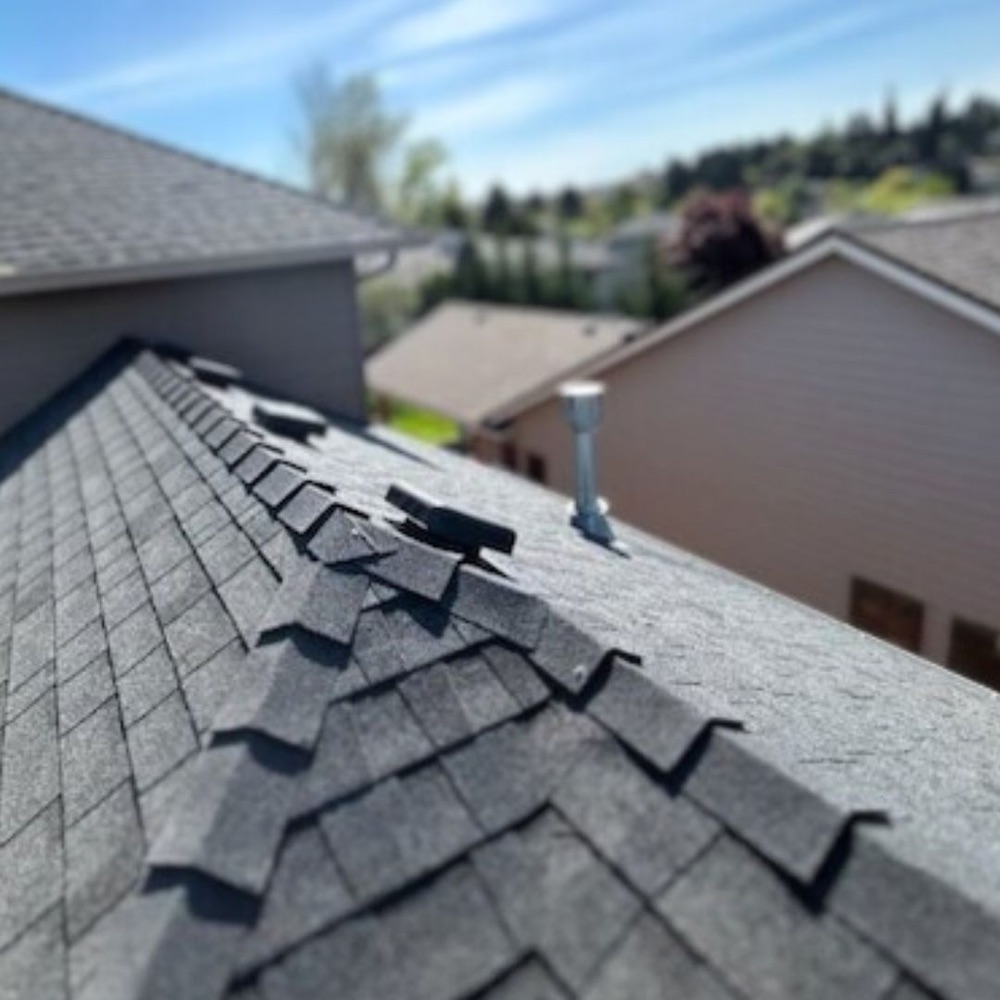 Shingle roofing