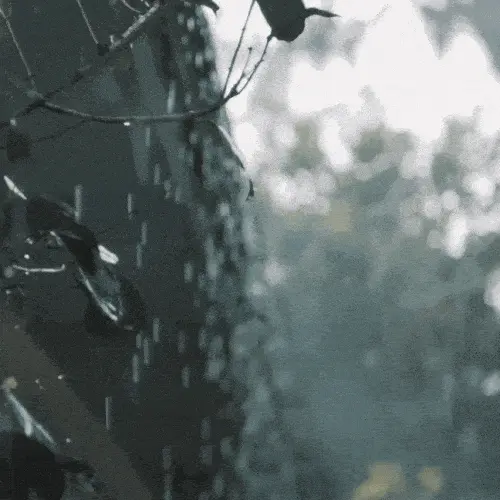 heavy rain on roof