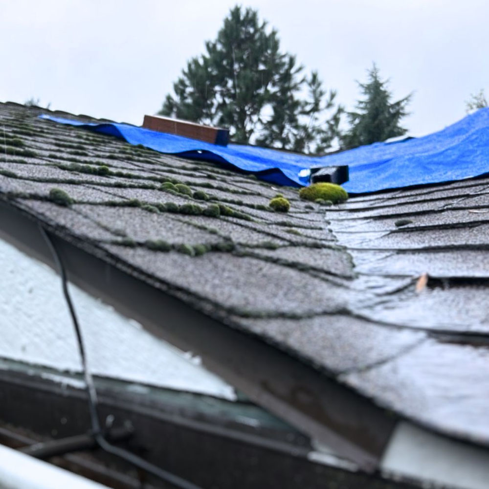 emergency roof leak repair