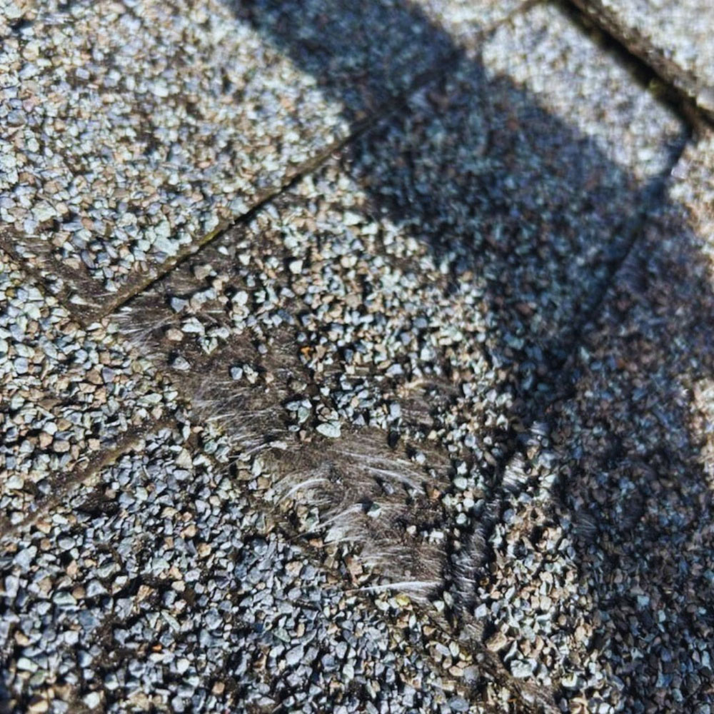 storm damage roof repair woodburn oregon