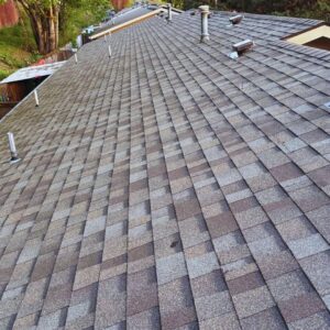 Asphalt Shingles: An Affordable and Reliable Option