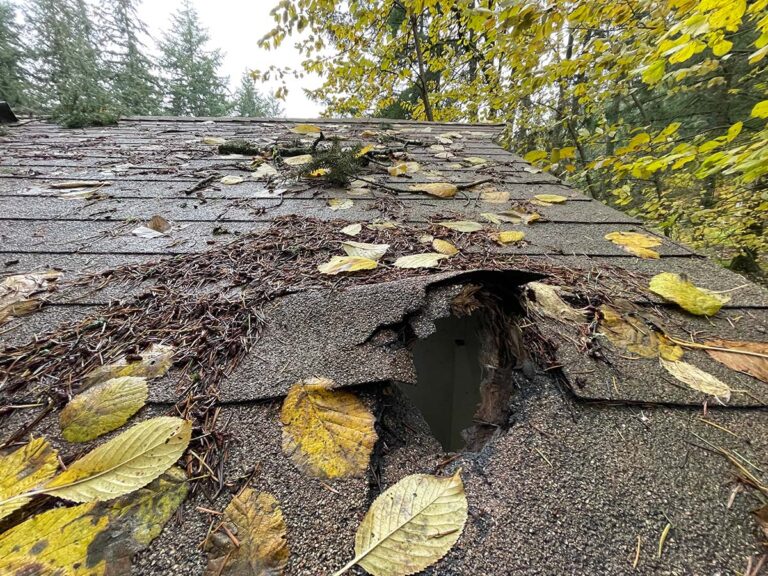 leaky roof repair cost