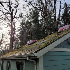 Best Practices for Oregon Homeowners