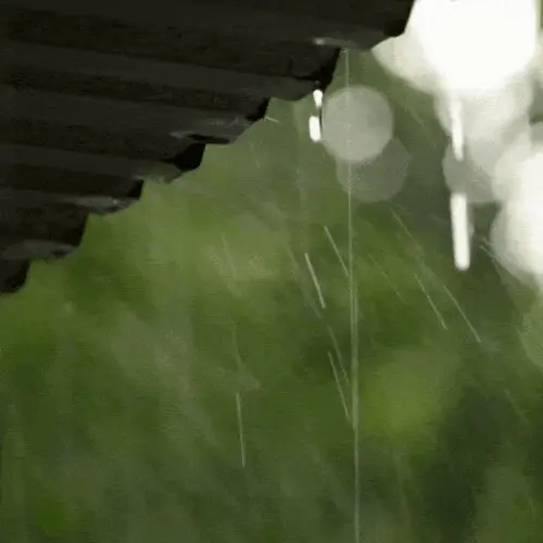 Oregon’s Rainy Climate and Its Impact on Roofs