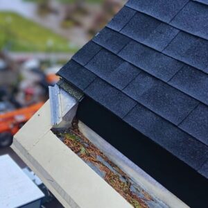 prevent clogged gutters Oregon