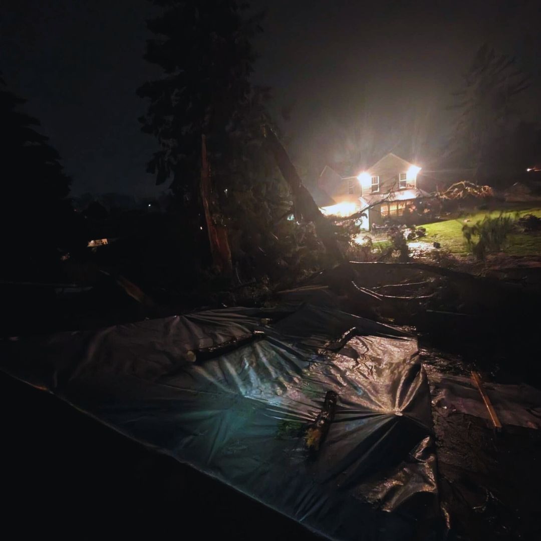 Inspect Your Roof’s Exterior