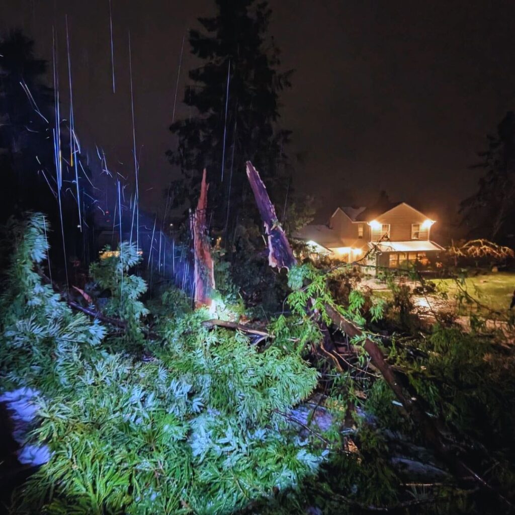 shingle roof damage after heavy rain storm