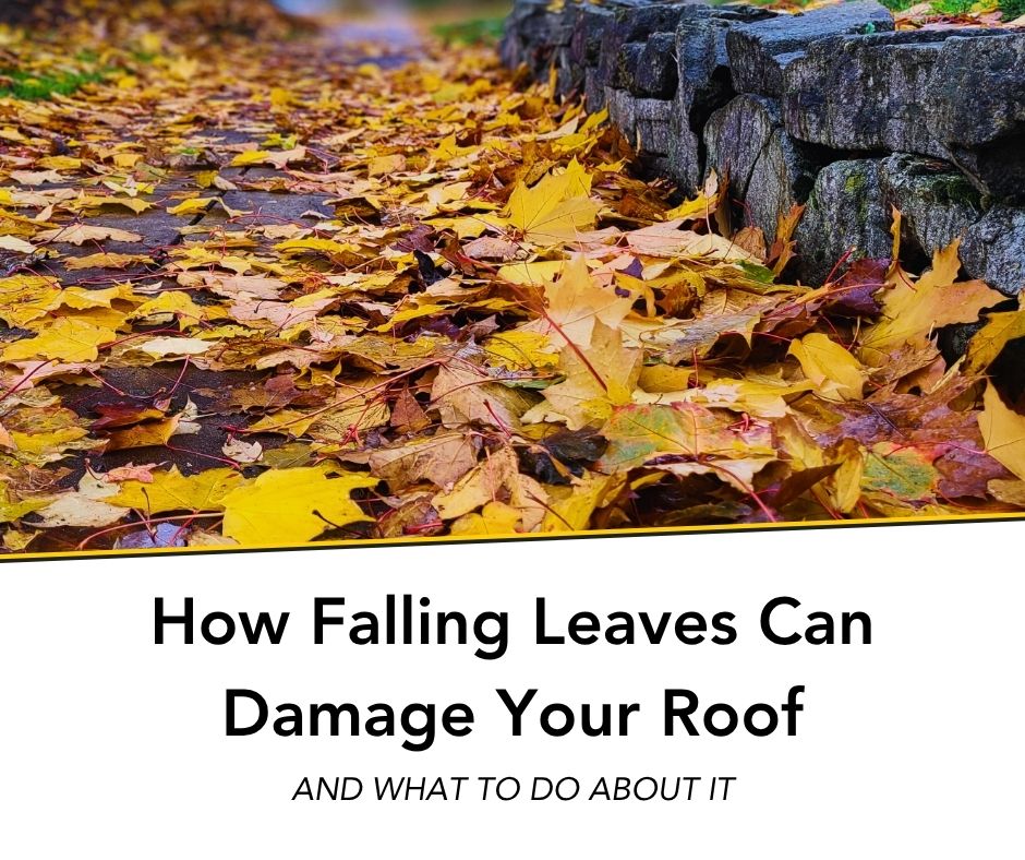 How Falling Leaves Can Damage Your Roof and what to do about it