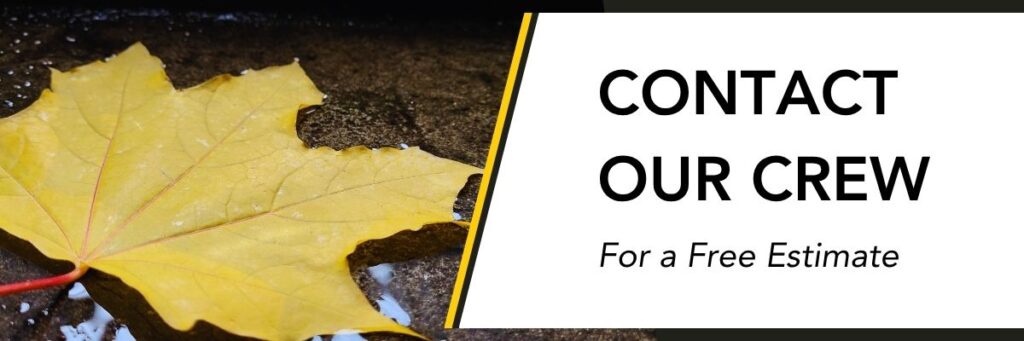 contact our crew for a free estimate on your damaged roof