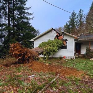 tree fell on house