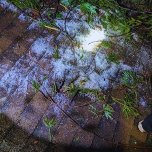 frozen roof in the winter