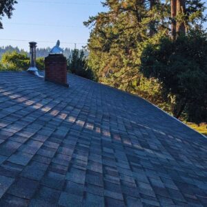 shingle roofing