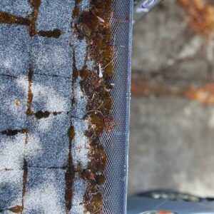 roof inspection found moss on roof