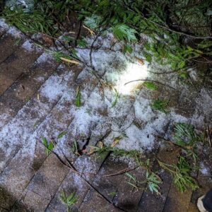 Roof repairs in winter