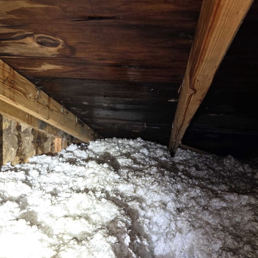 moisture is one of the Signs of Hidden Roof Leaks