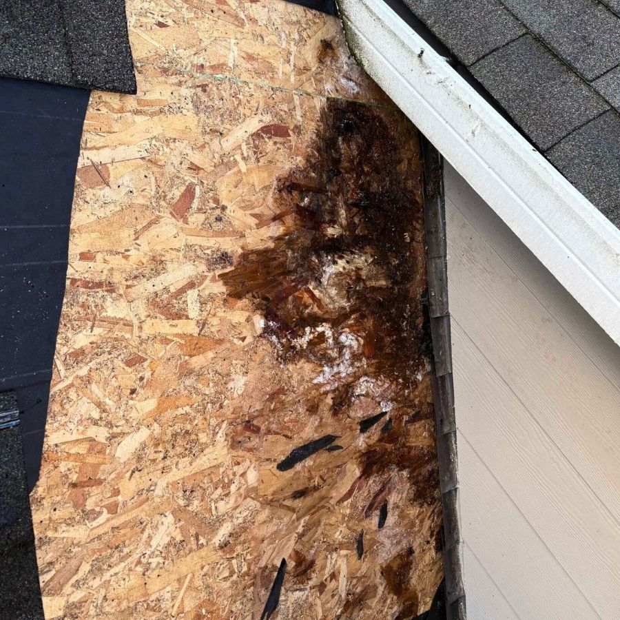 weak spots in your roof is a sign of a hidden roof leak