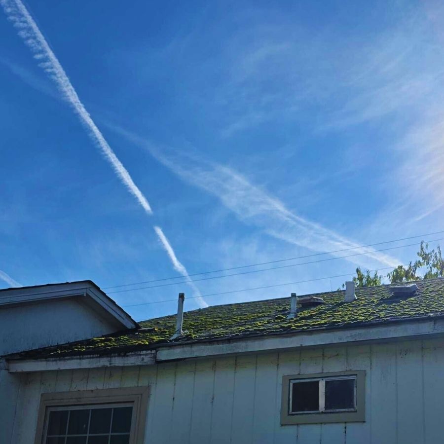 shows a roof the is covered in moss - a prime opportunity for time for spring roof replacement salem oregon
