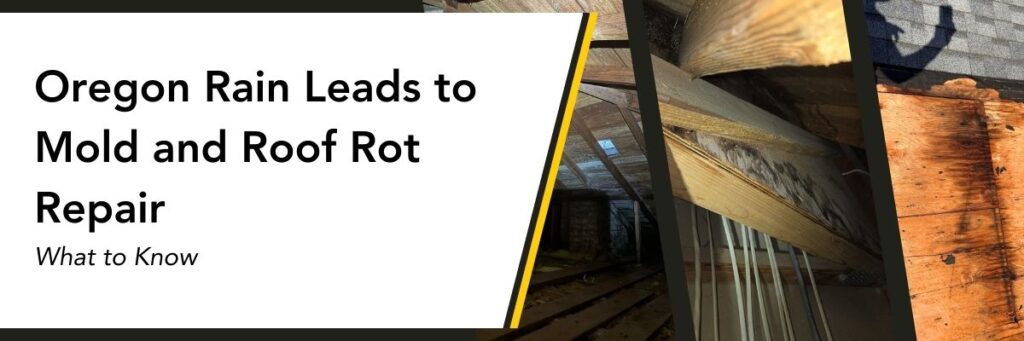 image shows examples of water damage leading to mold and roof rot repair being needed from an expert roofer