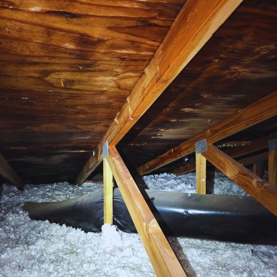 image shows extensive water dame permeating the roof decking leading to roof rot repair being needed