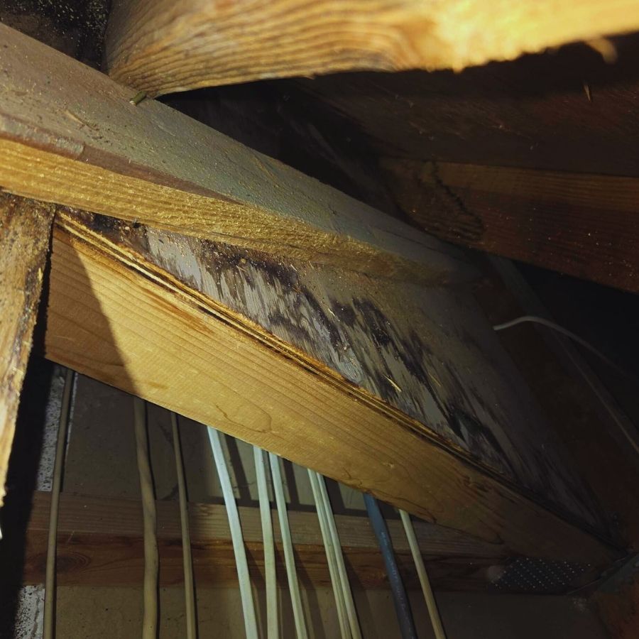 image shows water damage leading to roof rot repair being needed