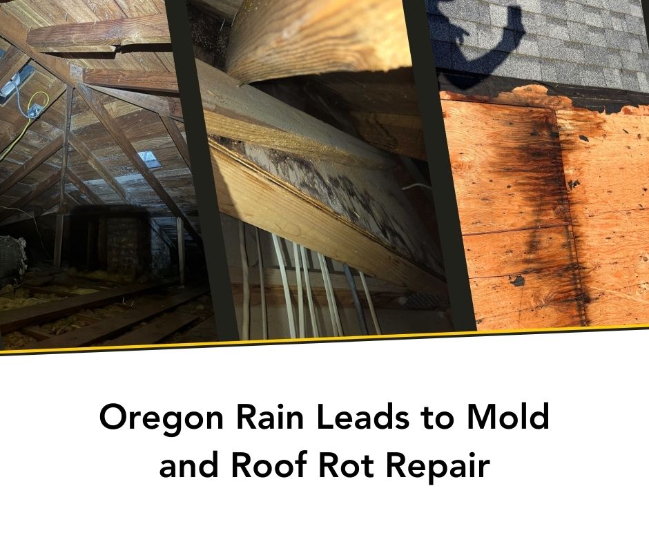 share image for Oregon Rain Leads to Mold and Roof Rot Repair blog post from dakota roofing